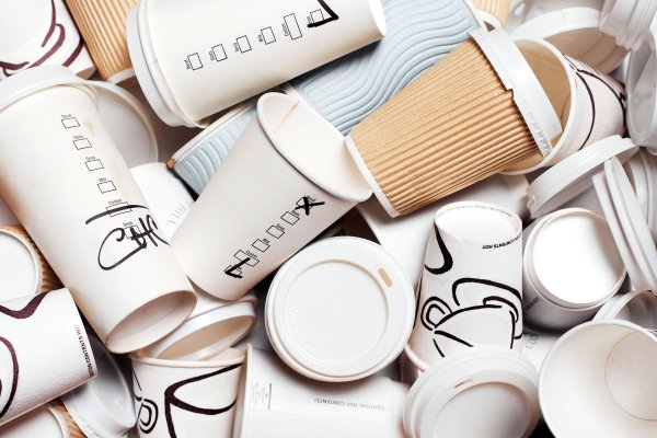 Виды бумажных стаканов: особенности, применение, дизайн